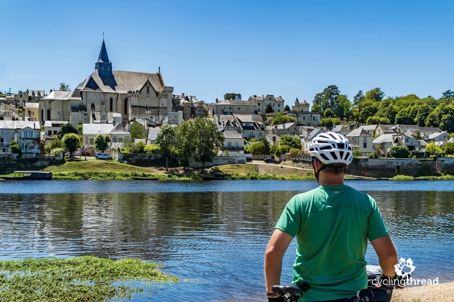 The town of Candes-Saint-Martin on the Loire
