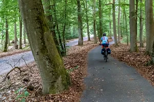 Cycle path through the Schorfheide-Chorin nature reserve